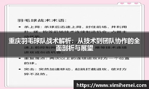 重庆羽毛球队战术解析：从技术到团队协作的全面剖析与展望