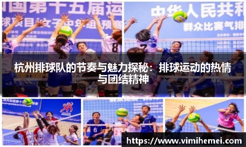 杭州排球队的节奏与魅力探秘：排球运动的热情与团结精神