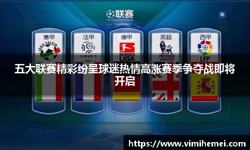 五大联赛精彩纷呈球迷热情高涨赛季争夺战即将开启