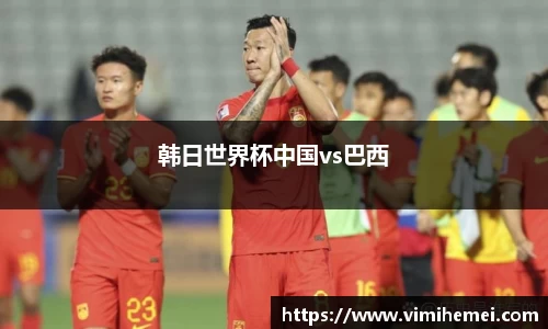 韩日世界杯中国vs巴西