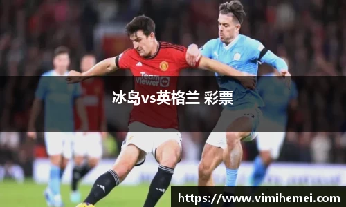 冰岛vs英格兰 彩票